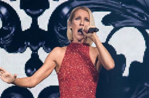 Céline Dion tour crew member electrocuted during show set